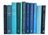 beach and seaside decorative books by color for home decor