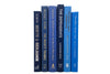 Blue decorative books for home staging. Colorful decorator books by the foot.
