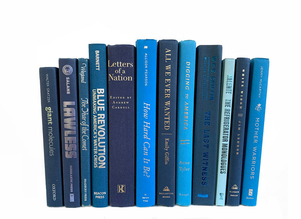 Jewel Toned Blue Decorative Book Bundle