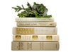 Bundle of Beige, Ivory, Off White Neutral Decorative Books with gold foil lettering