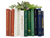 Decorative Books by Color - Navy, Red Dirt, Dark Green, White Decorative Books - Staging Books Color Bundle - Real Hardcover Stack of Books for Home Decor