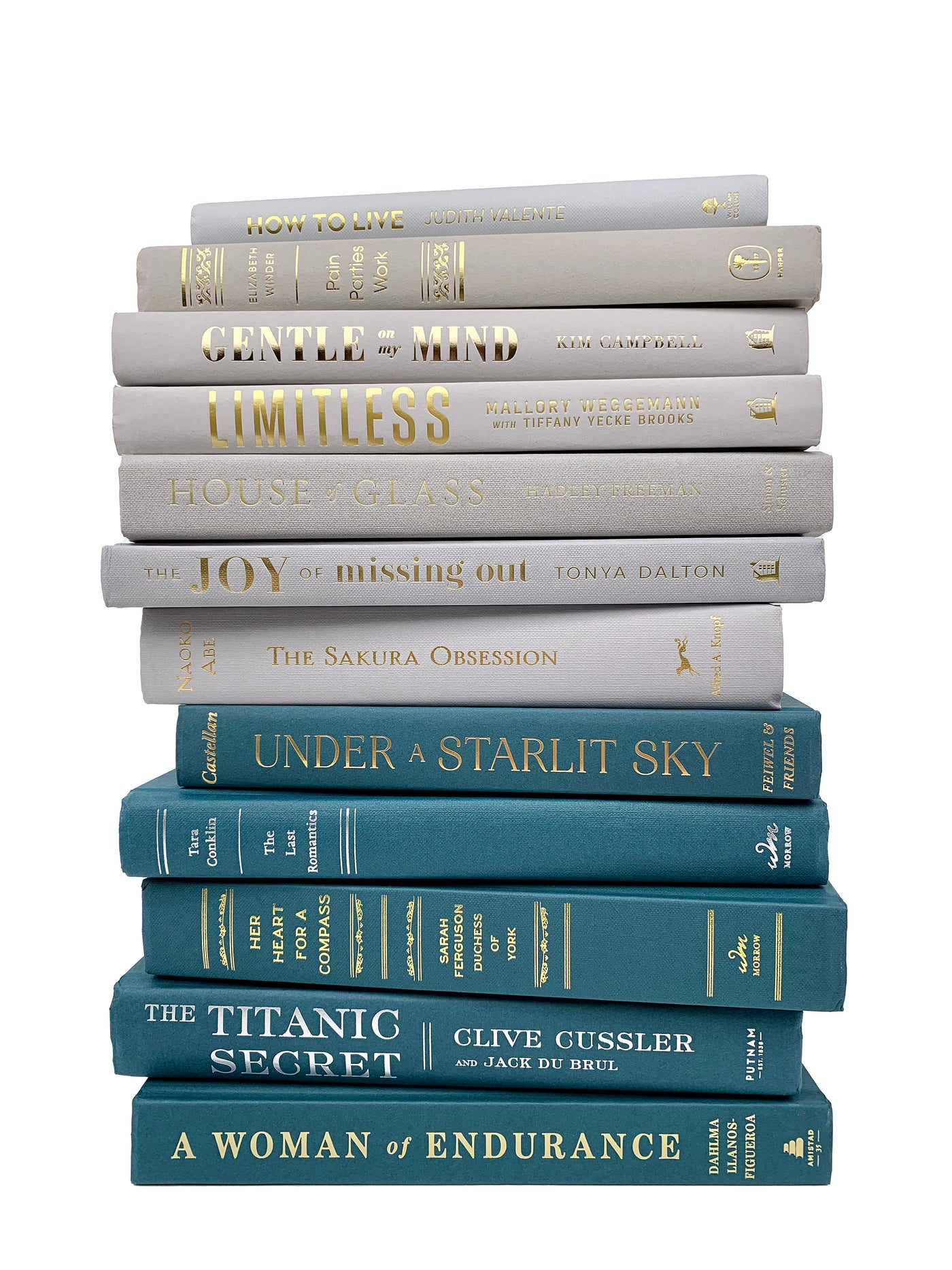 Book Color Stack Hardcover Decorative Books by Color A La Cart - Staging Books Color Bu ...