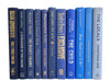 Blue ombre decorative books. Color-coded book stack by the shelf foot.